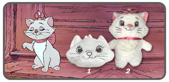 แมวมารีข้างในมีผ้าห่ม