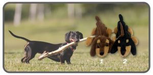 กระเป๋าใส่เหรียญตัวสุนัขท่ามอบ