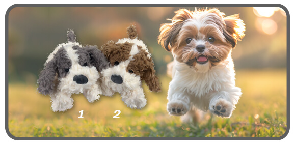 สุนัขสีครีมท่าหมอบ