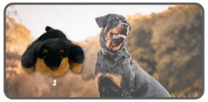 สุนัขร็อดไวเลอร์ตัวนุ่มท่าหมอบขนาด 7 นิ้ว