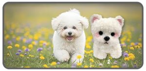 สุนัขสีขาวท่ายืน 4 ขาขนาด 7 นิ้ว