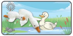 เป็ดสีขาวท่าหมอบ